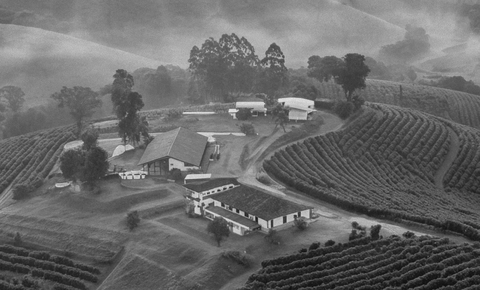 A small coffee farm in Espírito Santo — home to generations of a Brazilian farming family